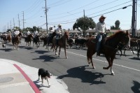 Traffic Jam