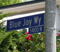 "There's a fog upon LA".................