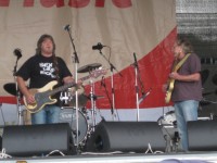 The Animals 2