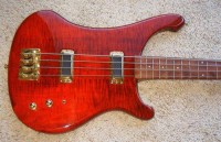red-ric003-s.JPG