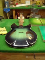 BlackBurst Sample 800 x 600.jpg