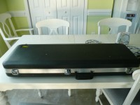 The case