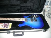 The guitar