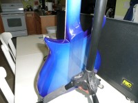 The back