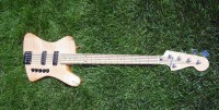 Bass5-0092.jpg