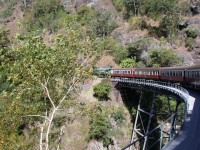 You can travel back down the mountain to Cairns by train. There are (I think) 15 tunnels and 32 bridges. The construction of the line in the 1880's was quite an engineering feat.