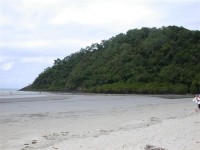 Cape Tribulation.......Rainforest all the way to the water