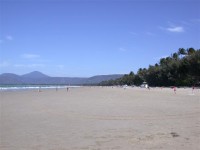 Another hectic day at the beach in Port Douglas.