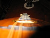 Picture 010-1.JPG
