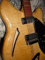 guitars 011.JPG