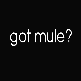 gotmule.gif