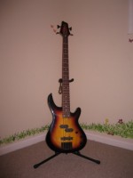 Washburn Lyon LB-40