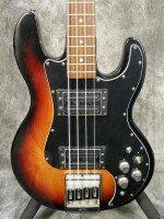 Peavey T-40
