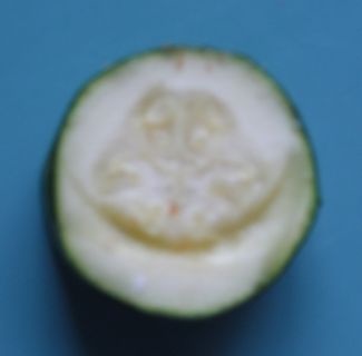 Dennis the Zuchinni.jpg