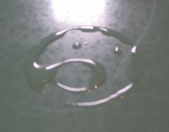 Watermark.jpg