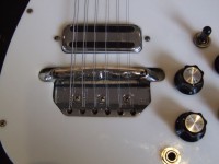 450 Bridge and Serial Number.jpg