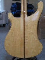 Back Body.jpg