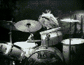 animal.gif