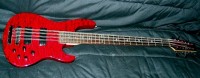 Carlo Robelli 12 string bass.jpg