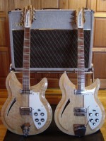 381s with Fawn AC 30 web size.JPG