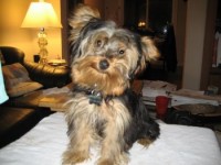 Rocky01.jpg