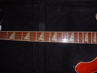 Bent Neck.jpg