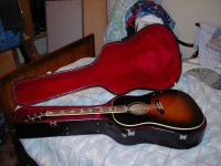 2001 J-160E Tobacco Sunburst