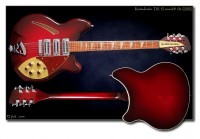 Rickenbacker370-12n02882.jpg