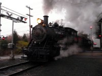 We beat the train!!