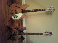 The Twins
