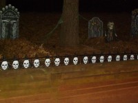 Halloween 5.jpg