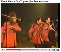 spiders.jpg