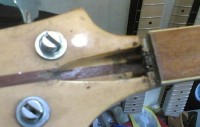 Gherson Ric copy with dual truss rods