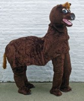 panto-horse-web.jpg