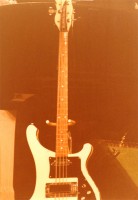 Chris Squire 8 string Rick copy.jpg