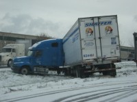 Snow 2.jpg