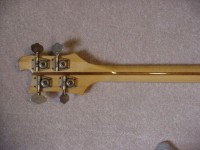 Rick bass neck back.JPG