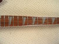 z03270836012fgnewfrets.jpg