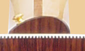 neck1