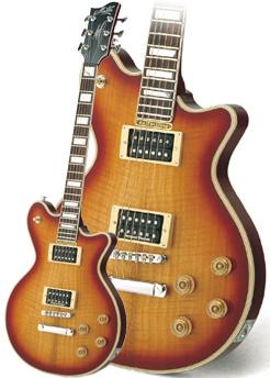 MX2000DLX/SD