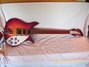 Rickenbacker 350/6 , Fireglo: Full Instrument - Front