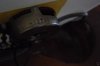 Rickenbacker 3001/4 , Autumnglo: Close up - Free2