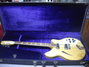 Rickenbacker 360/12 , Mapleglo: Full Instrument - Front