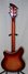 Rickenbacker 360/6 , Fireglo: Full Instrument - Rear