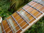 Rickenbacker 360/6 , Mapleglo: Neck - Front