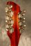 Rickenbacker 366/12 , Fireglo: Headstock - Rear