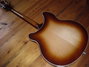 Rickenbacker 360/6 , MonteBrown: Full Instrument - Rear