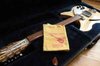 Rickenbacker 330/12 , Mapleglo: Free image