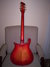 Rickenbacker 420/6 Setneck, Fireglo: Full Instrument - Rear