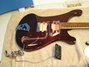 Rickenbacker 480/6 , Eggplant: Body - Front